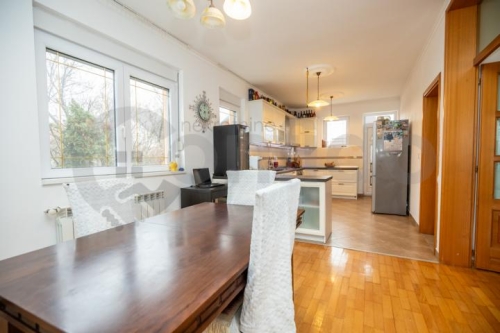 Brace Radic 12 progar 17