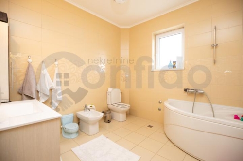 Brace Radic 12 progar 42