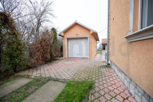 Brace Radic 12 progar 45