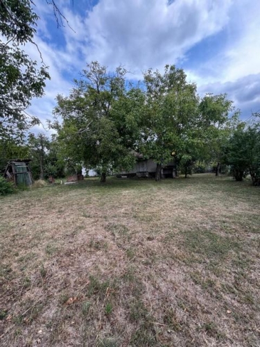 IMG 20251101 WA0013N