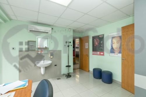 Knjeginje Zorke 16 34