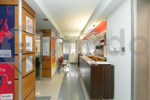 Knjeginje Zorke 16 8