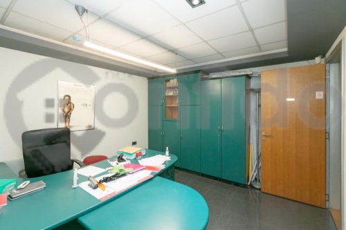 Knjeginje Zorke 16 25