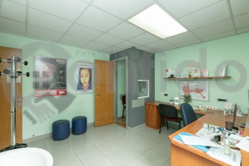 Knjeginje Zorke 16 33